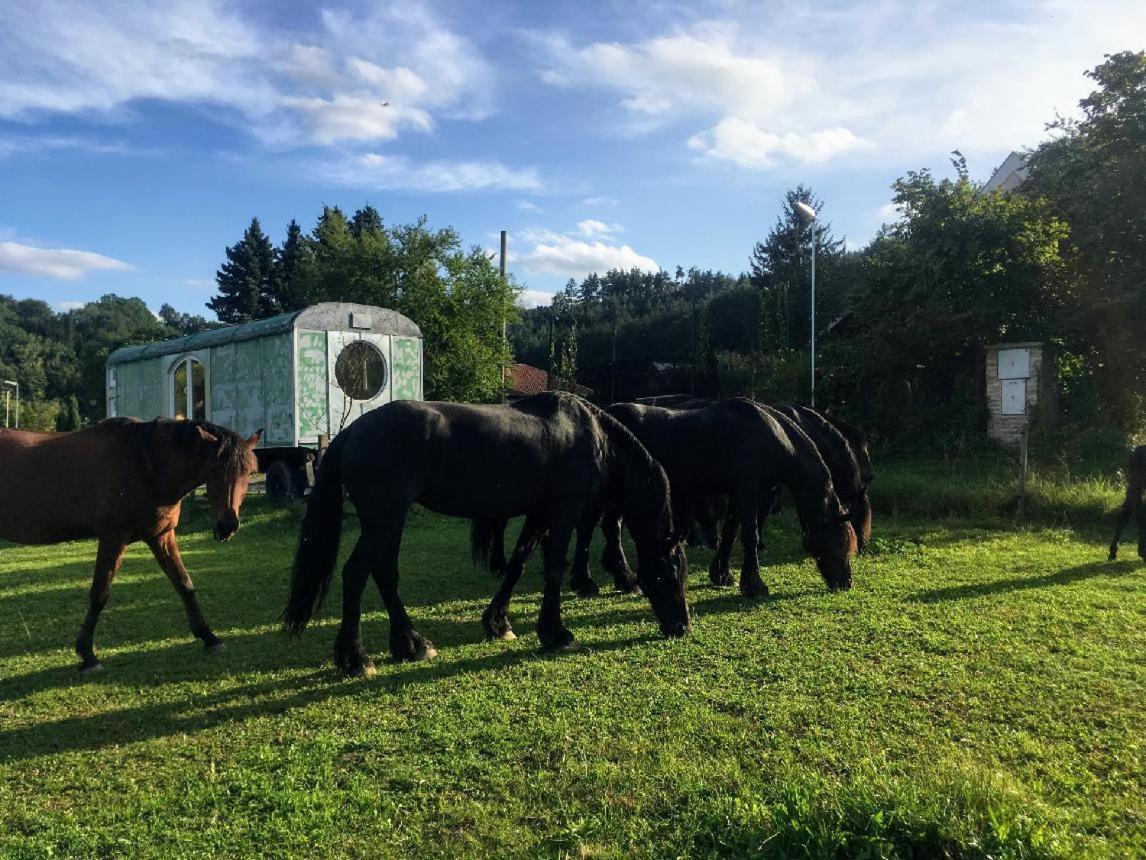 Glamping - Stylova Maringotka V Srdci Ladova Kraje, Pobliz Hlavniho Mesta Prahy Stribrna Skalice Exterior foto